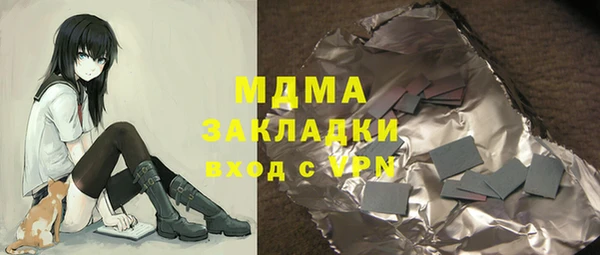гашик Алексин