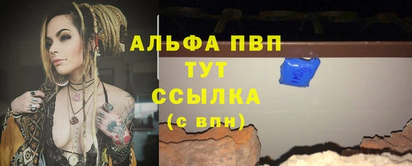 ГАЛЛЮЦИНОГЕННЫЕ ГРИБЫ Балабаново