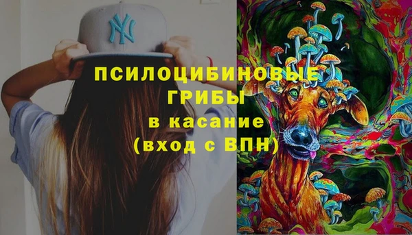 ГАЛЛЮЦИНОГЕННЫЕ ГРИБЫ Балабаново